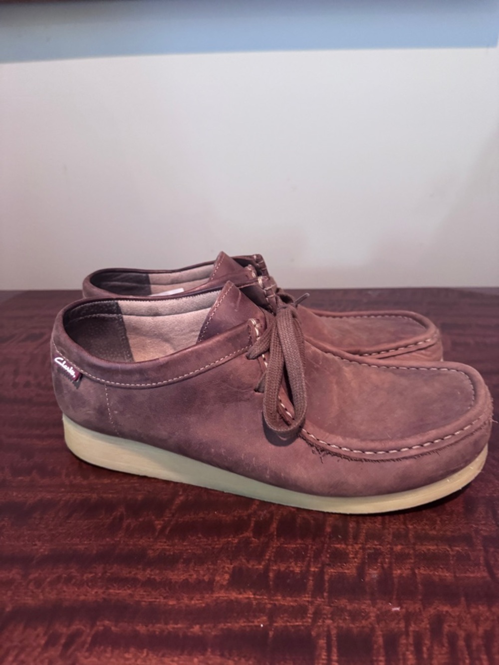 Clark’s Wallabies 9 1/2